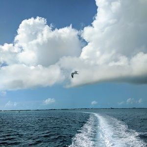 Meet your Posher, Lindsay